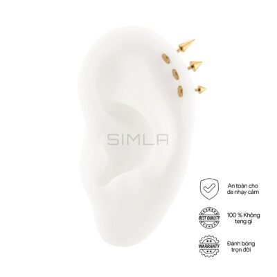 Labret chóp nhọn vàng
